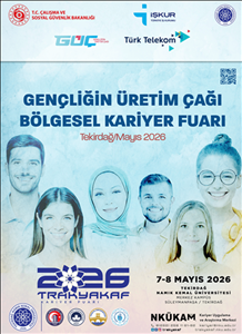 Gençliğin Üretim Çağı Bölgesel Kariyer Planı